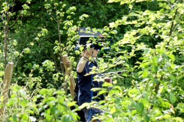 MVS goes jungle 1