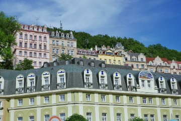 IMG 0005