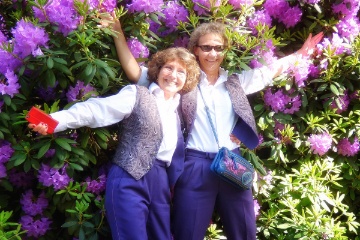 > Sisters