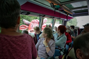 uff, pl�tzlich taucht eine rote Kuh auf der Autobahn auf.