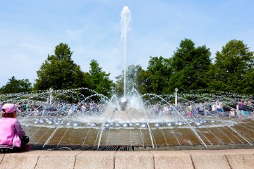 IMG 9655