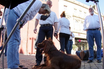 079-IMGP2483